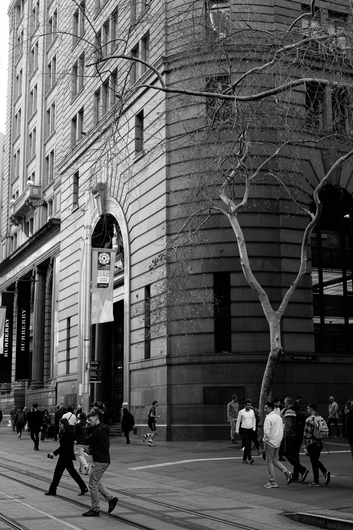 Sydney Harbour Bridge and Opera House