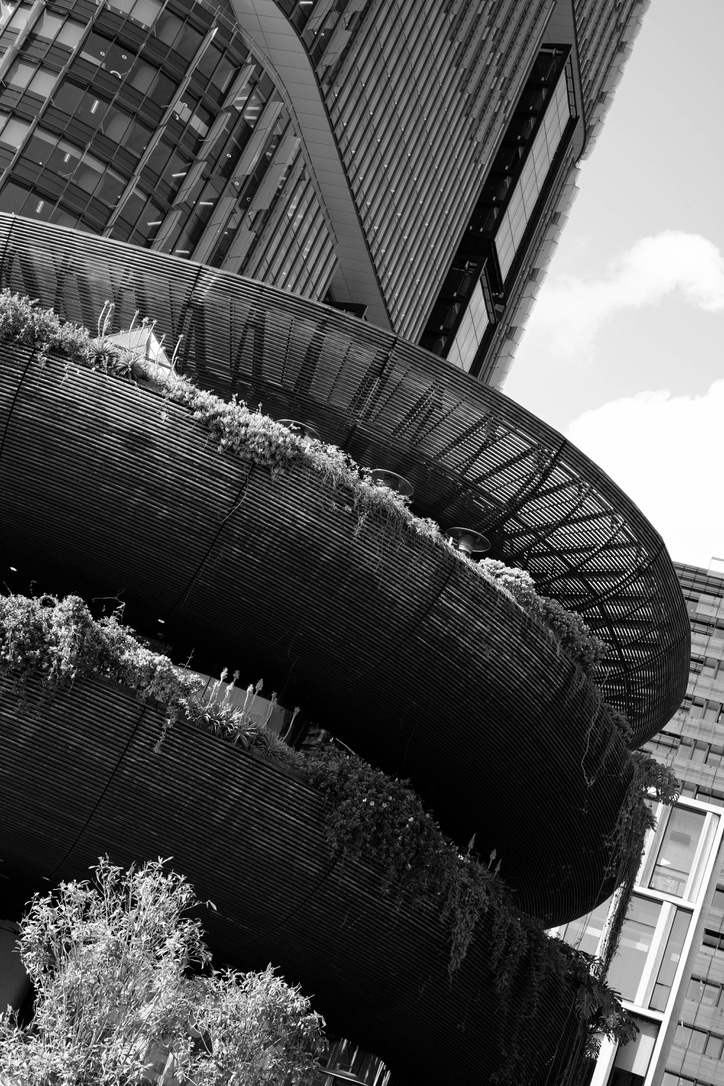 Family law - peaceful resolution